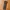 Adidas Streetwear Gorpcore Tracksuit Pria black photo 6