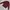 Hush Puppies Vintage Streetwear Polo shirt Pria burgundy black photo 1