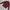 Hush Puppies Vintage Streetwear Polo Shirt Pria Burgundy Black