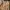 Adidas Gorpcore Track jacket Pria tan photo 1