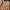 Adidas Gorpcore Track Jacket Pria Tan