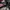 New Era Skater Hat Pria black photo 5