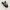 Converse Streetwear Skater Sneakers Pria black photo 1