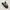 Converse Streetwear Skater Sneakers Pria Black