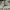 Maison Kitsuné Streetwear Casual Short Pria tan cream photo 6