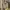 Bershka Streetwear Sportswear Bomber Jacket Wanita Green