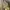 Bershka Streetwear Sportswear Bomber jacket Wanita green photo 2