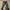 Nudie Casual Jeans Pria navy blue photo 1