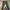 Nudie Casual Jeans Pria navy blue photo 7