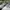 Adidas Luxury Casual Sneakers Pria white photo 2