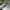 Adidas Luxury Casual Sneakers Pria White
