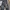 Cardinal Vintage Y2K Casual pants Pria gray photo 4