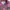 Angel Blue Streetwear Hoody Pria pink photo 3