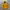 Giordano Gorpcore Windbreaker Pria yellow photo 3