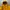 Giordano Gorpcore Windbreaker Pria yellow photo 1