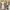 BCBG Max Azria Vintage Luxury Wanita White