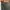 Streetwear Luxury Pria green brown photo 3