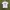 Hanes Vintage Streetwear T-shirt Pria gray photo 1