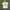 Hanes Vintage Streetwear T-shirt Pria Gray