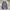 Y2K Casual Casual pants Pria green photo 4