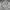 Streetwear Sportswear Tracksuit Pria white photo 5