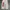 Streetwear Sportswear Tracksuit Pria white photo 3