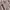 Axes Femme Vintage Minimalist Going out dress Wanita cream photo 2