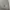 VANS Streetwear Skater Hoody Pria gray photo 5