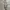 thisisneverthat Streetwear Casual Hoody Pria khaki photo 4