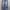 Vintage Y2K Jeans Pria blue photo 1