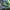 HOKA Casual Pria green navy photo 3