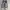 Converse Casual Casual shoe Pria white blue photo 2