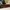Gucci Luxury Futurist Crossbody Bag Wanita tan brown photo 3