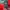 Sportswear Casual Jersey Pria green red photo 3