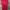 Sportswear Casual Jersey Pria green red photo 2