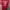 Sportswear Casual Jersey Pria green red photo 1