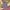 Y2K Windbreaker Pria multicolor photo 6