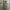 Minimalist Casual Culotte Wanita tan photo 1