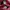 Nike Flex Superrep Go 3 Next Nature Flyknit Burgundy photo 6