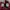 Nike Sportswear Sneakers Wanita burgundy pink photo 6