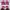 Nike Flex Superrep Go 3 Next Nature Flyknit Burgundy photo 5