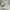 Nike Sportswear Casual Sneakers Wanita white photo 2