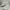 Nike Sportswear Casual Sneakers Wanita White