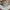 Calvin Klein Casual Tote bag Wanita brown photo 4