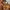 Carhartt Streetwear Casual Baju bayi Kids brown photo 5