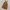 Carhartt Streetwear Casual Baju bayi Kids brown photo 3