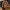 Timberland Streetwear Boots Pria brown photo 6