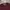Japanese brand Casual Sweater Pria burgundy photo 2