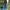 Piko Sports Grunge Jeans Pria navy photo 2