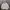 Carhartt Casual Hoody Pria white photo 1
